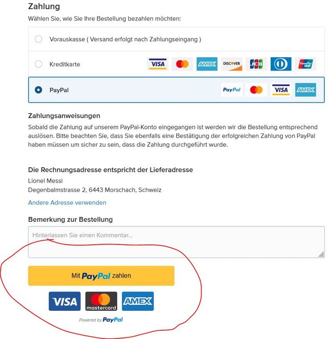 Mit PayPal zahlen.JPG