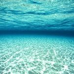 OceanRelic