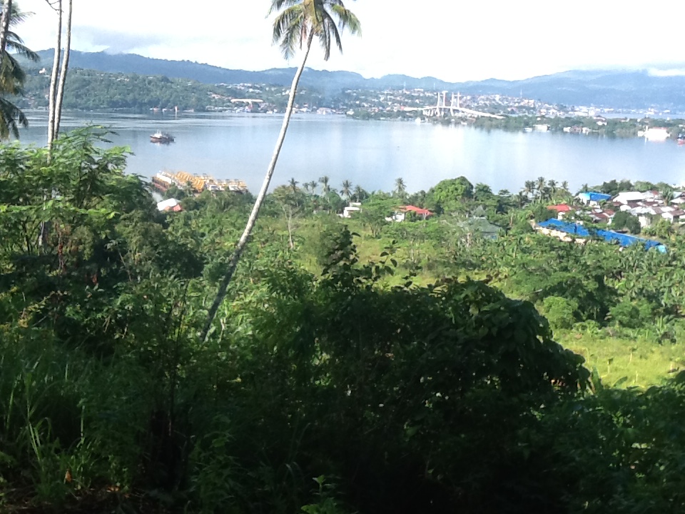 Ambon Bay View