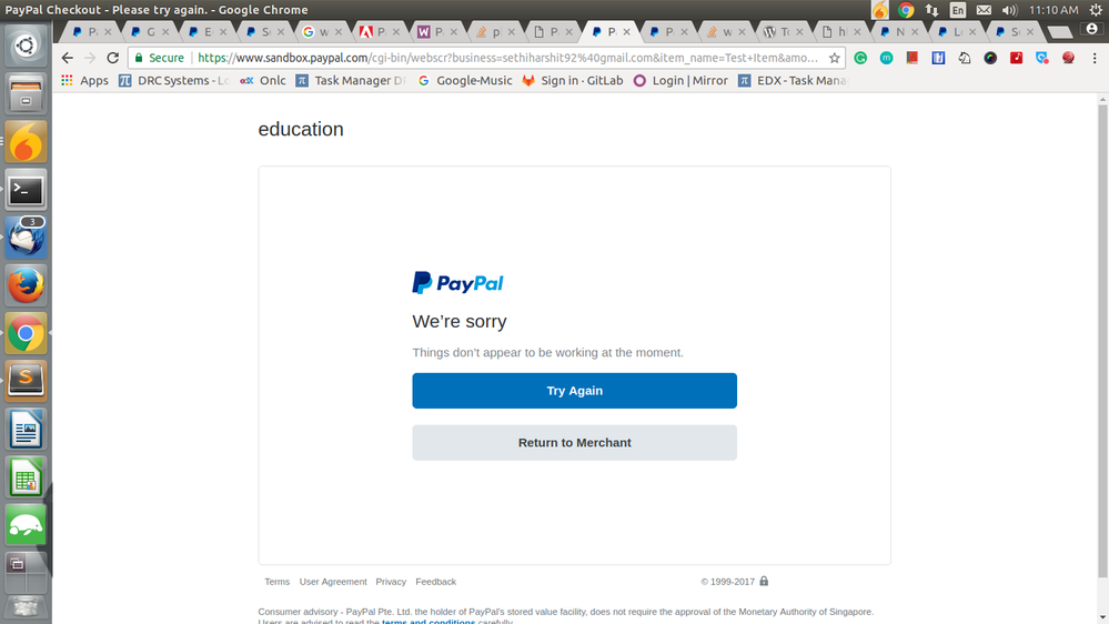 paypal-issue.png