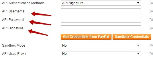 integrate-paypal-payment-method-in-magento.jpg