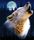 Wolfie1038